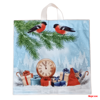 Пакет с петлевой ручкой 42х44 70 мкм Пернатые друзья/30