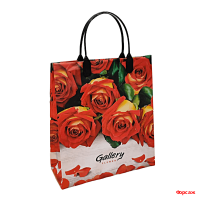 Пакет 27х23, 150 мкм, из мягкого пластика Галерея/40