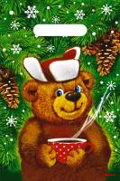 Пакет выр.ручка 20х30 (30) НГ Чай с малиной/100 Пакет выр.ручка 20х30 (30) НГ Чай с малиной/100