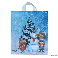 Пакет с петлевой ручкой 43,5х38 35 мкм Волшбный момент 50/500