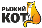 Рыжий кот