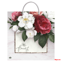 Пакет 36х37 с пласт. р. Симпатия 10/100