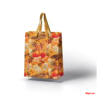 Пакет подарочный бумажный Новогодний 20*15*10/10