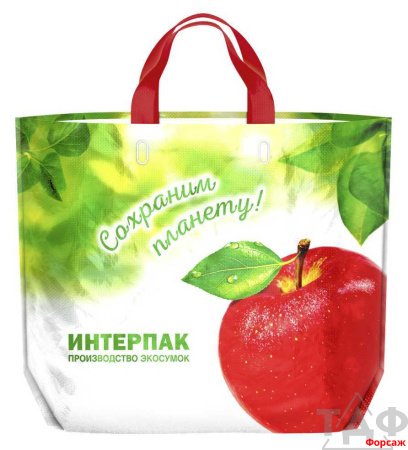 Эко-сумка ПВД 60х50, 160 мкм, "Большое яблоко" петля, 10/100